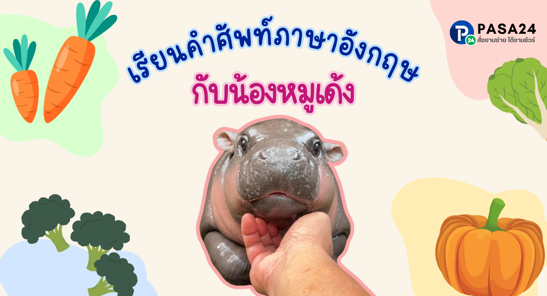 เรียนคำศัพท์ภาษาอังกฤษกับ หมูเด้ง